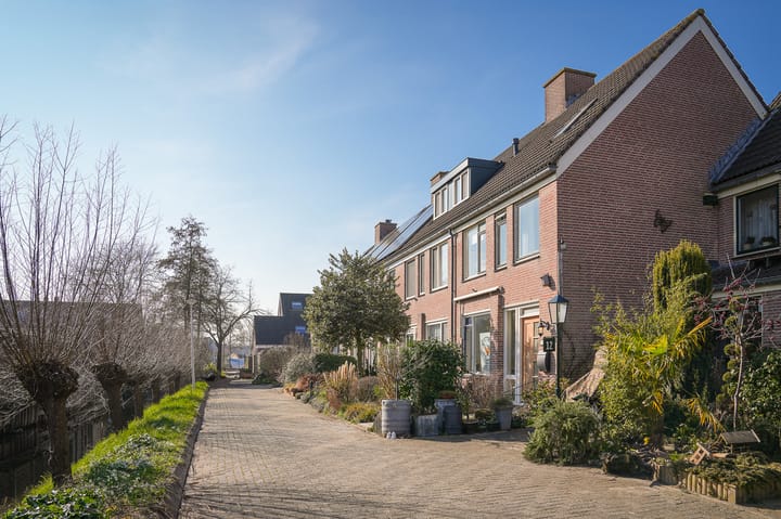 Foto 31 van Penningkruid 16