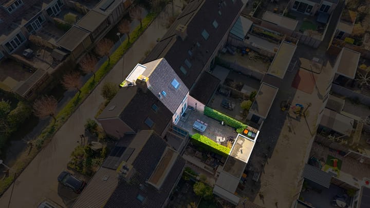 Foto 32 van Penningkruid 16