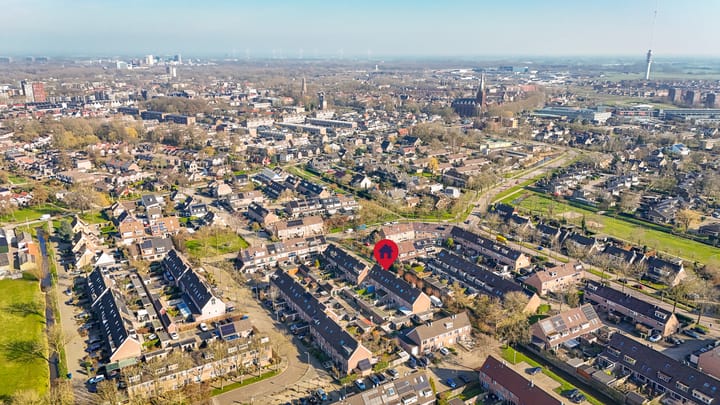 Foto 33 van Penningkruid 16