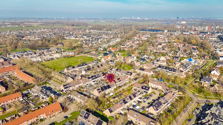 Foto 34 van Penningkruid 16