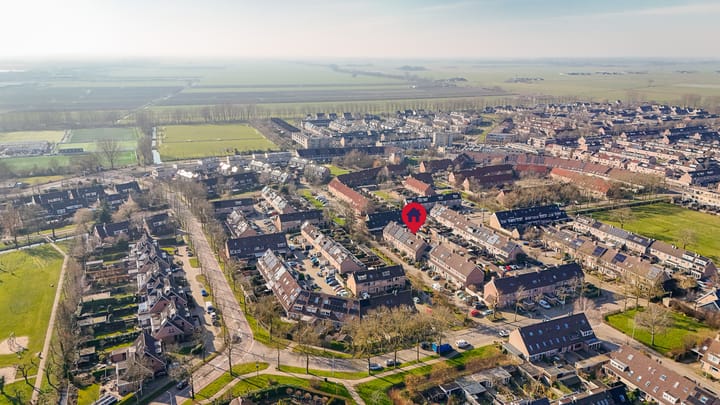 Foto 35 van Penningkruid 16