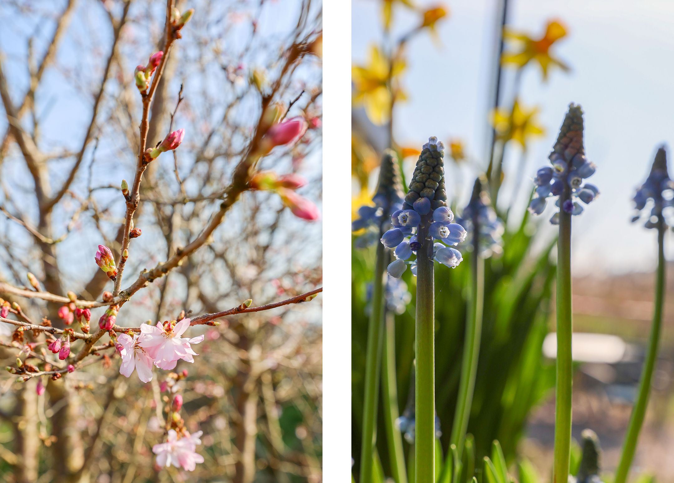 Photo 36 of Vuursteenhof 9