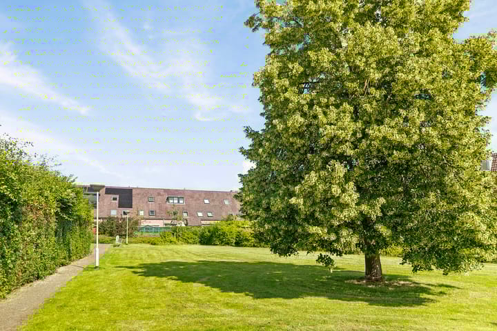 Foto 32 van Kurosawastrook 12