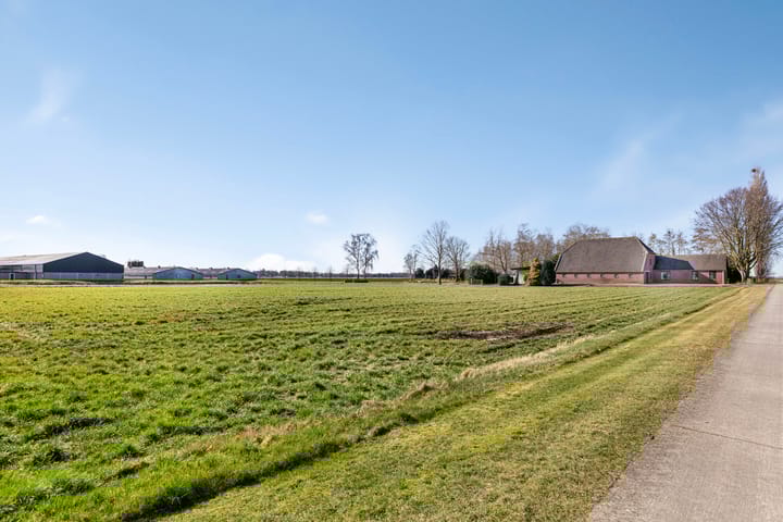 Foto 3 van Dikbroeken 9