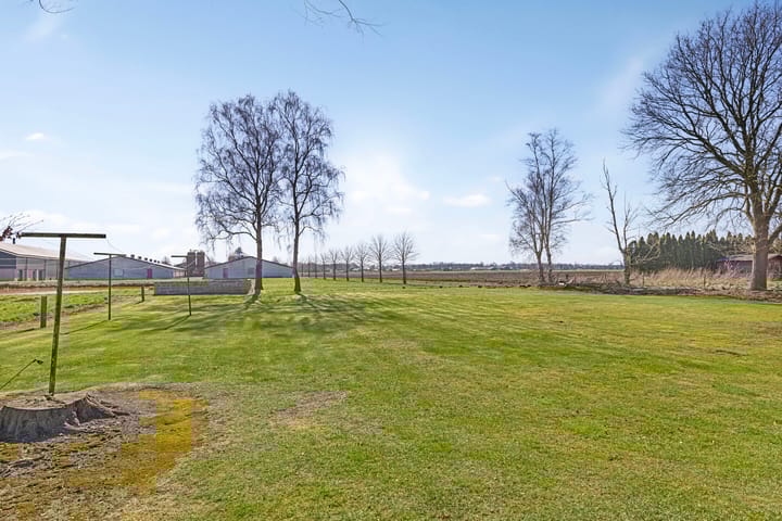 Foto 26 van Dikbroeken 9