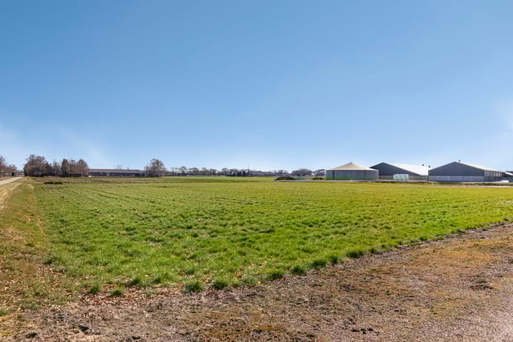 Foto 32 van Dikbroeken 9