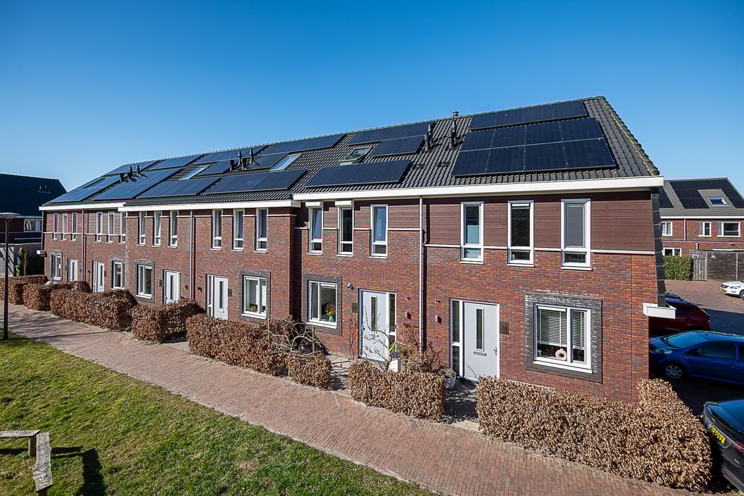 Foto 1 van Honderdspint 22