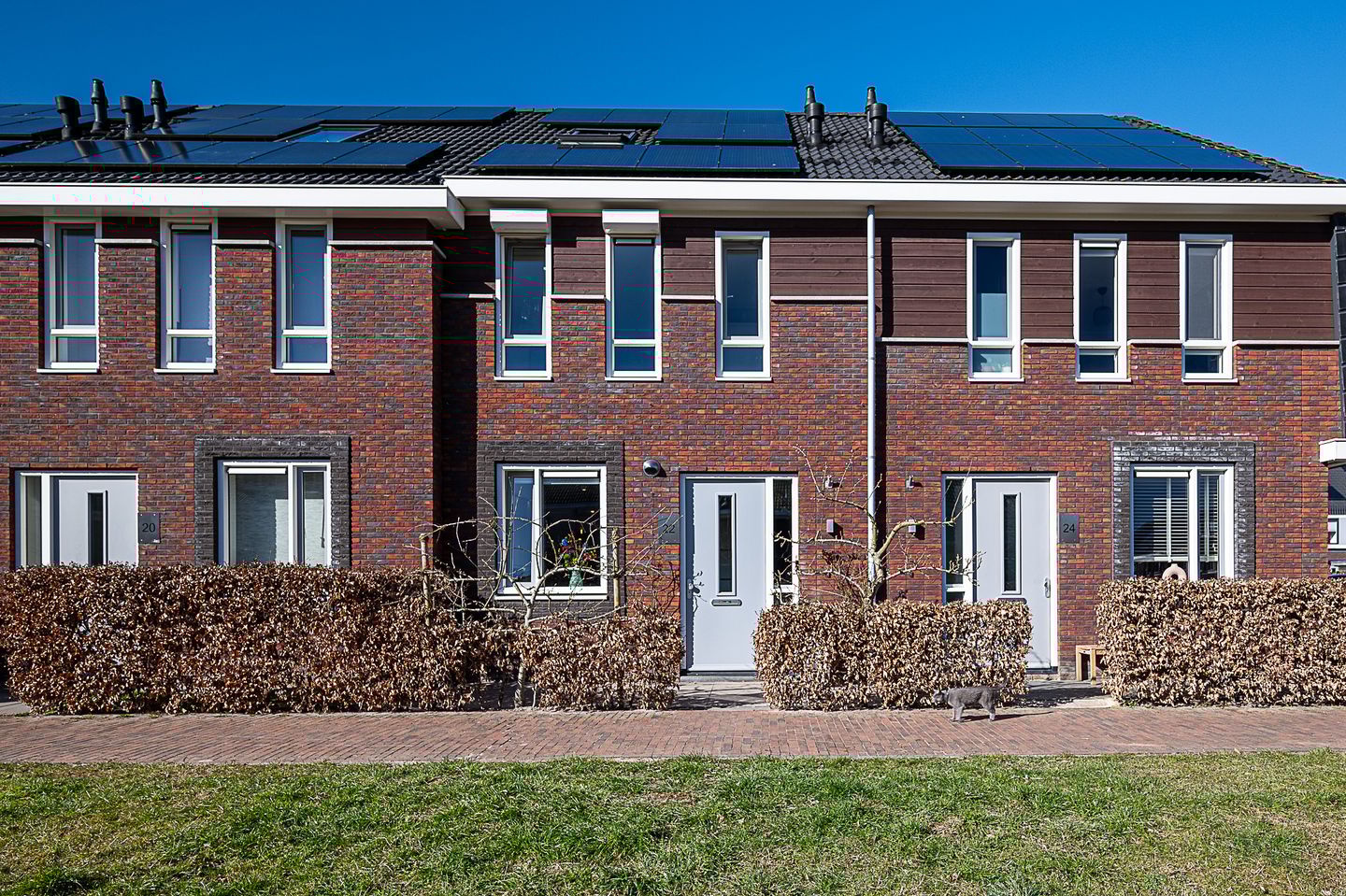 Foto 5 van Honderdspint 22