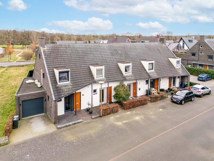 Foto 1 van Speenkruid 64