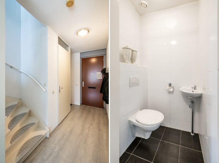 Foto 6 van Speenkruid 64