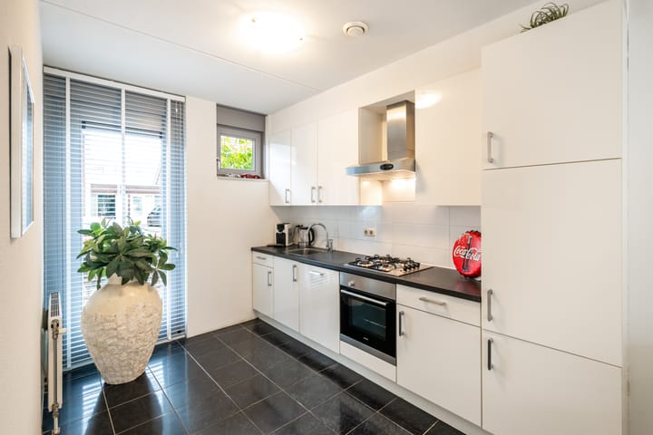 Foto 11 van Speenkruid 64