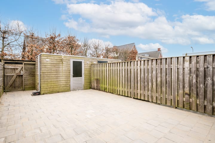 Foto 20 van Speenkruid 64