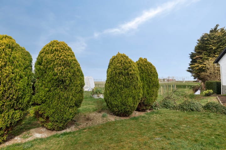 Foto 16 van Slijkplaat 10