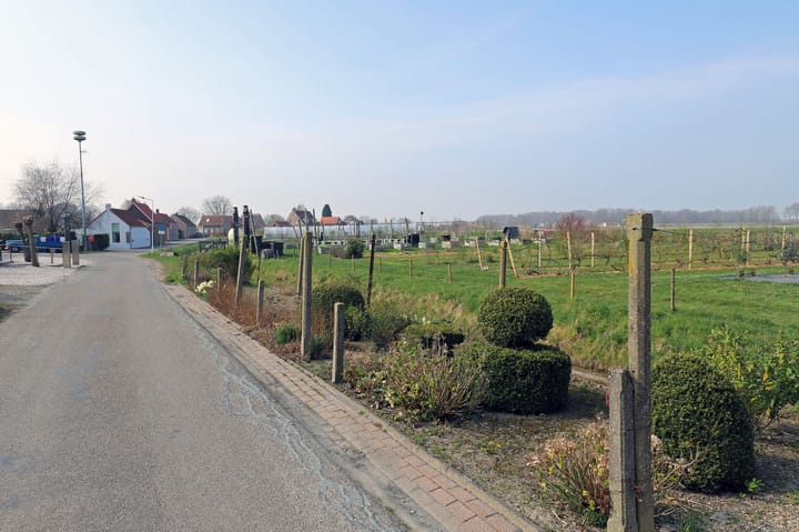 Foto 19 van Slijkplaat 10