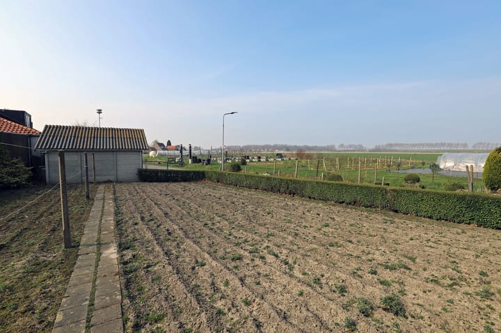 Foto 21 van Slijkplaat 10