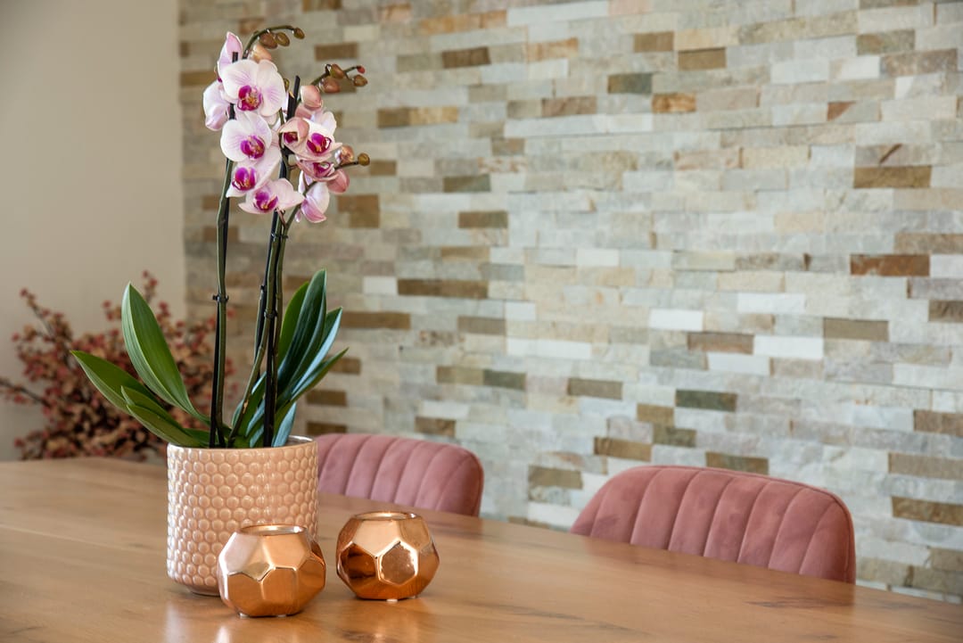 Foto 13 van Winde 18