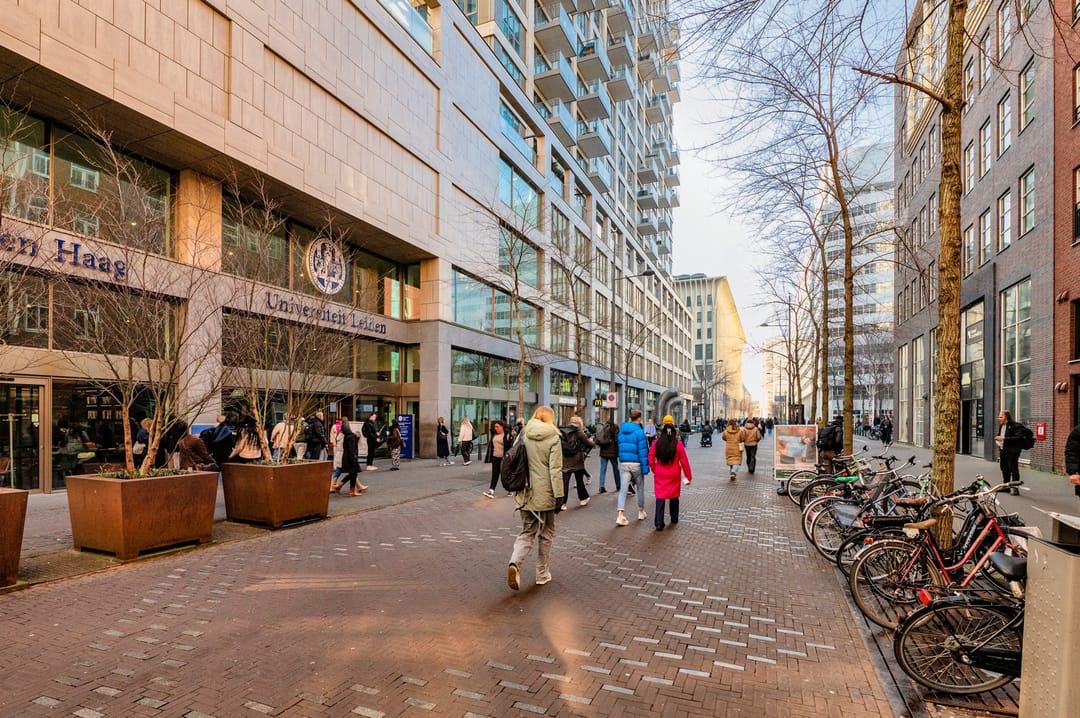 Foto 53 van Lage Zand 412