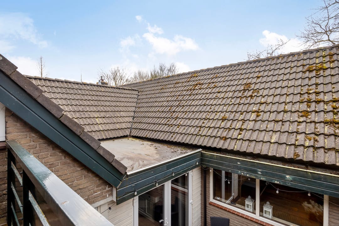 Foto 61 van Ameroever 72