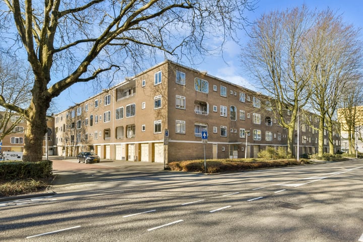 Meander 255