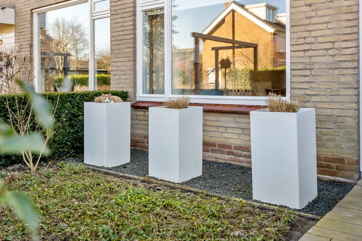 Foto 25 van Beukenhof 29