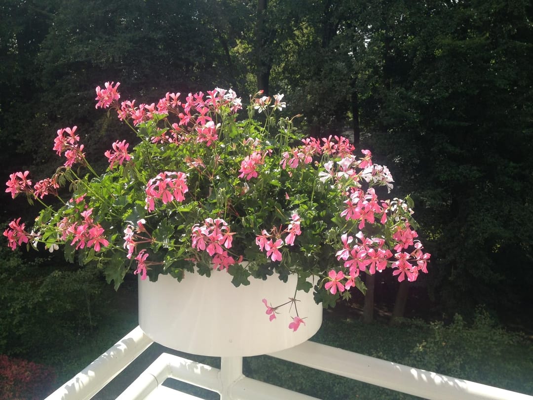 Foto 13 van Vorstenhof 48