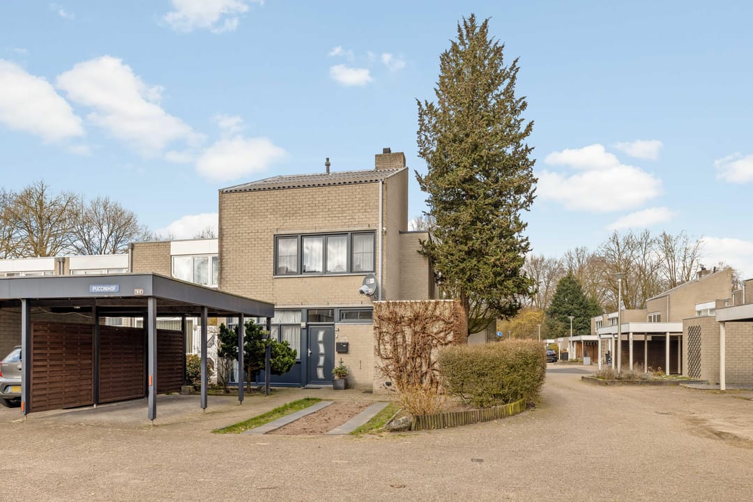 Foto 37 van Puccinihof 626