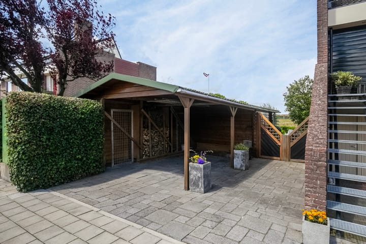 Foto 6 van Boterbloem 24