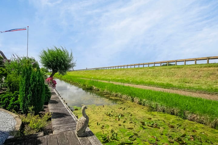 Foto 35 van Boterbloem 24