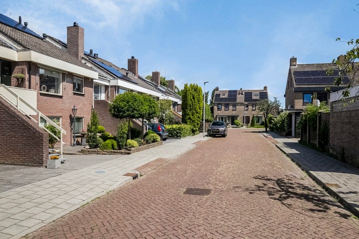 Foto 41 van Boterbloem 24