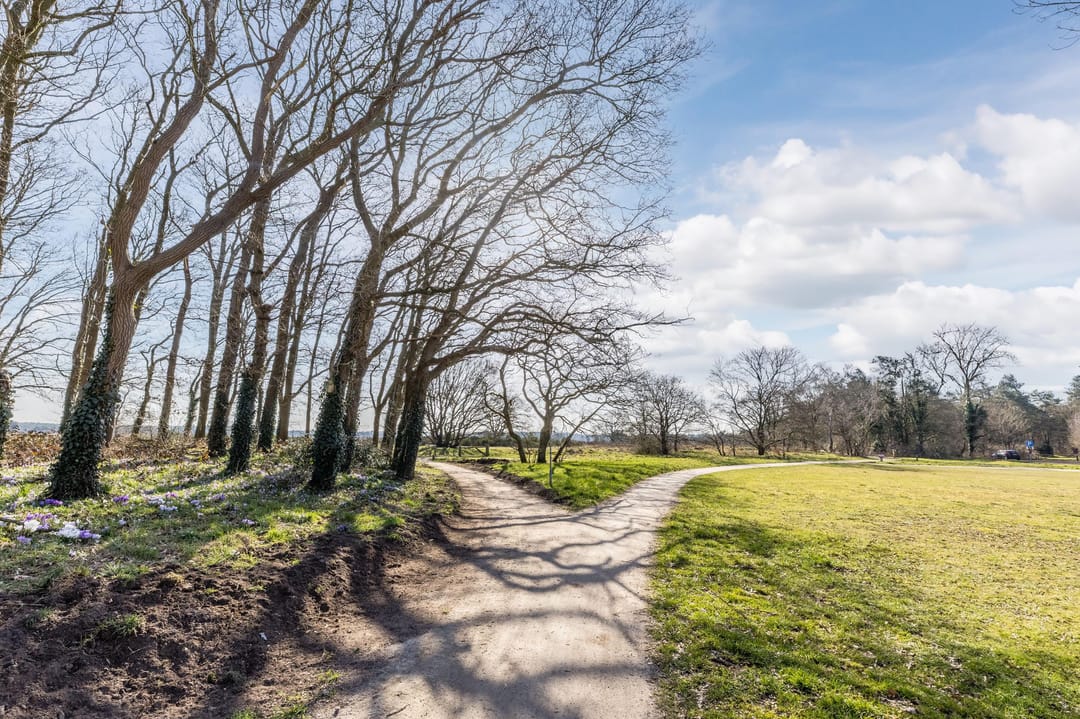 Foto 28 van Lange Heul 800