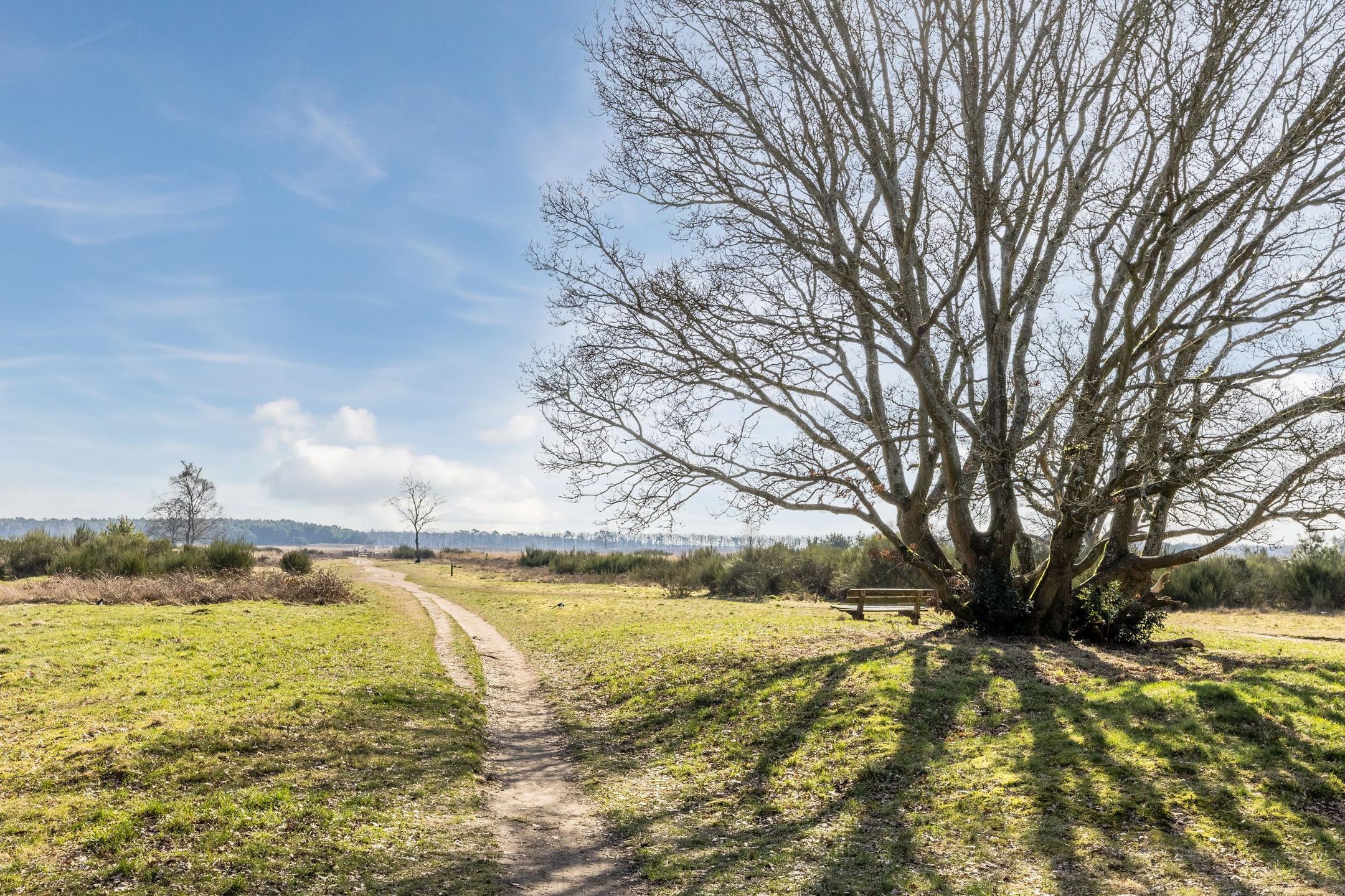 Foto 30 van Lange Heul 800