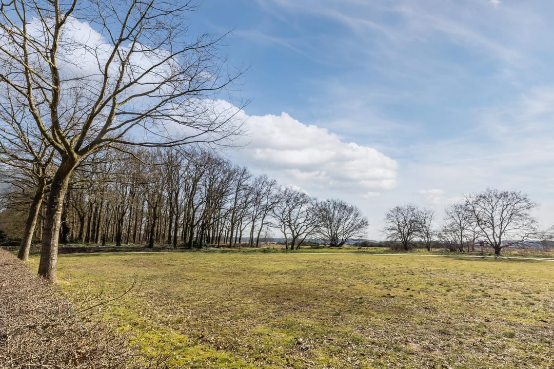 Foto 31 van Lange Heul 800