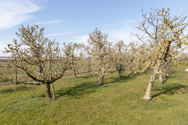 Foto 44 van Binnenweg 14