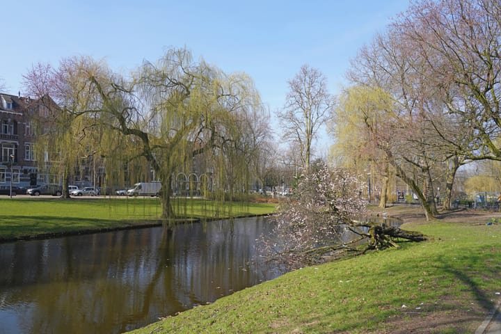 Foto 32 van Pieter de Hoochweg 2-E