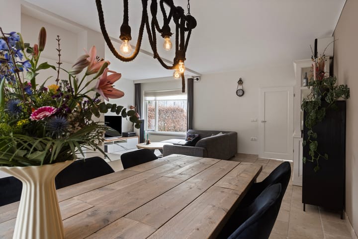 Foto 8 van De Dieze 47