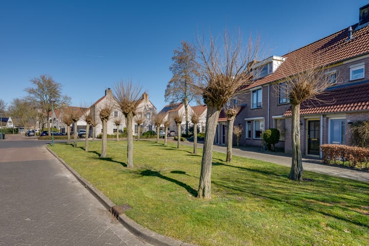 Foto 6 van Scholverbos 21