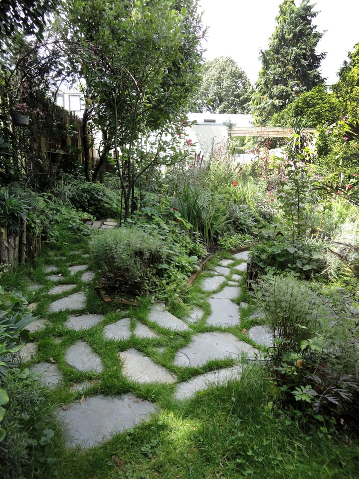 Foto 37 van Hatertseweg 223