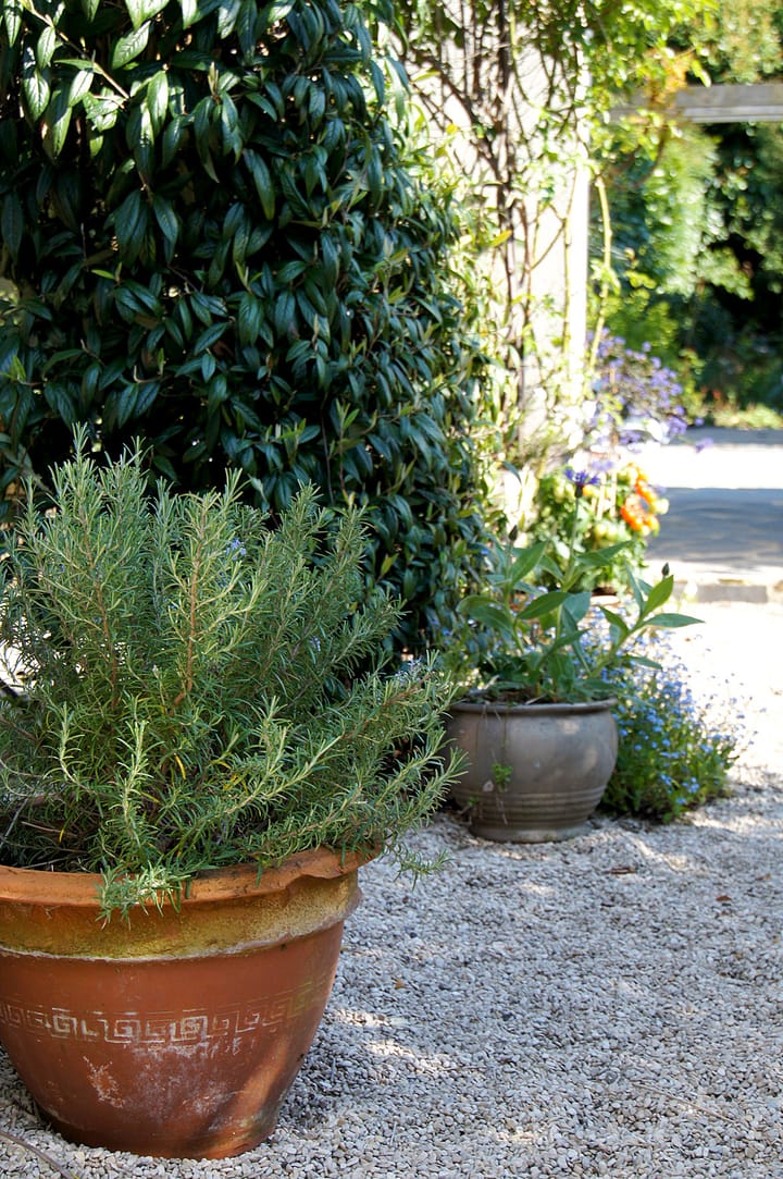 Foto 38 van Hatertseweg 223