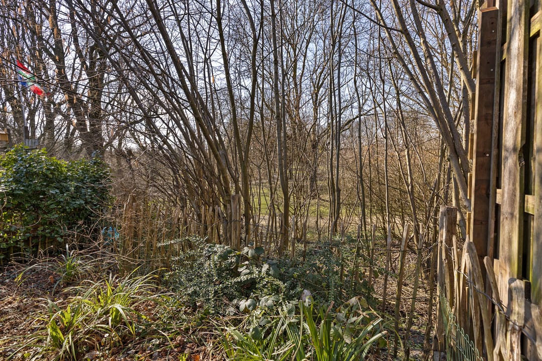 Foto 26 van Molenstraat 49