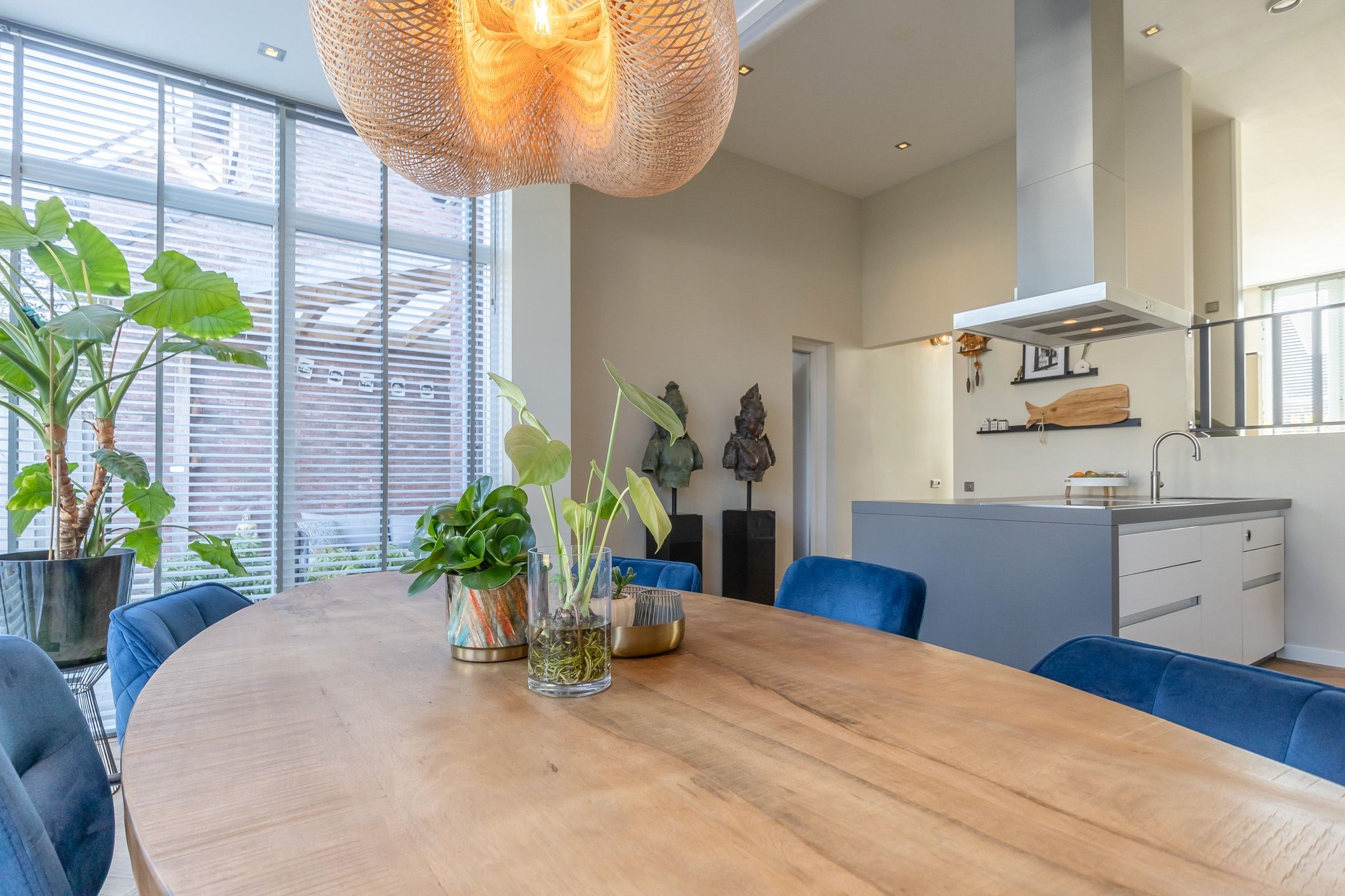 Photo 9 of Andromeda 134