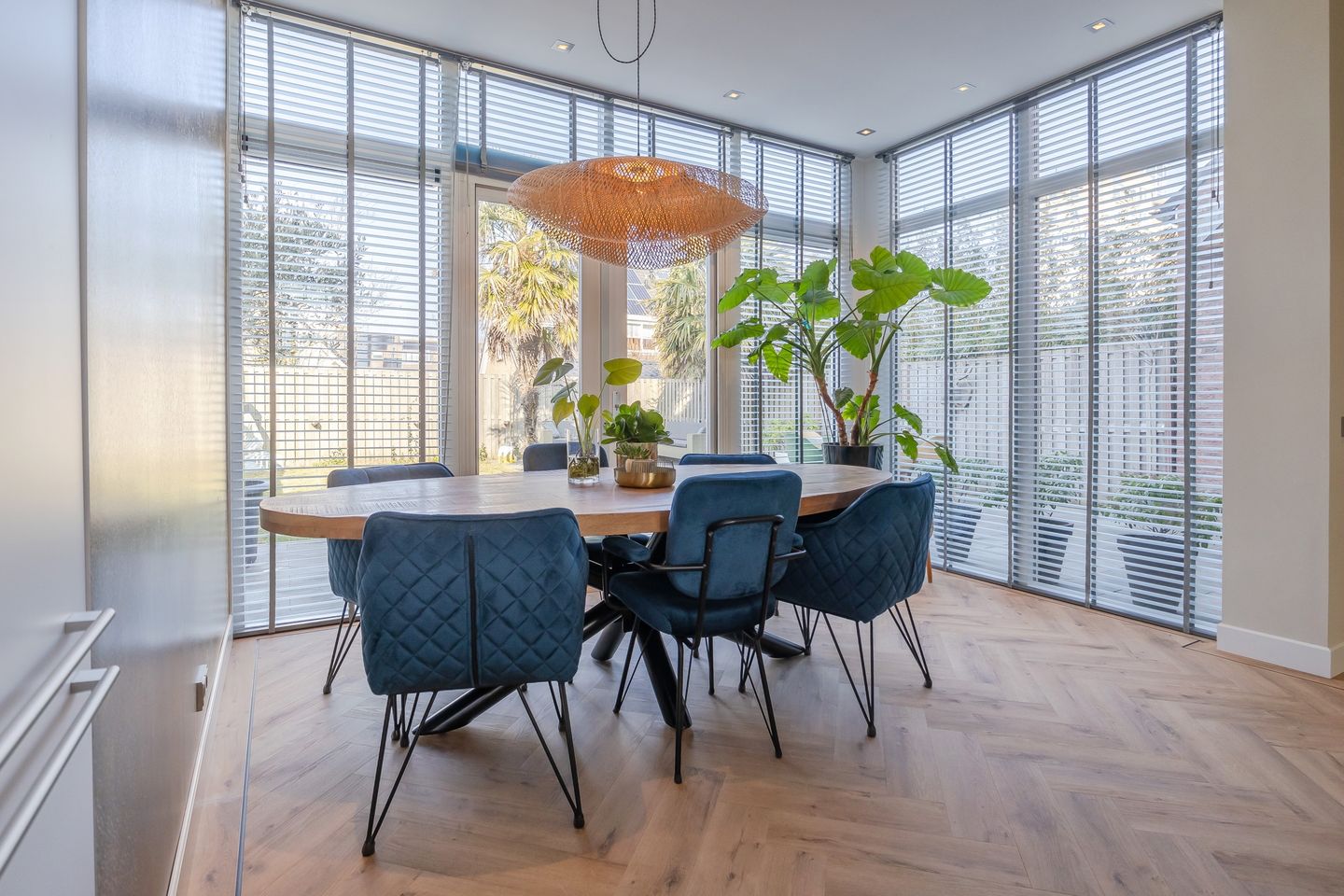 Photo 10 of Andromeda 134