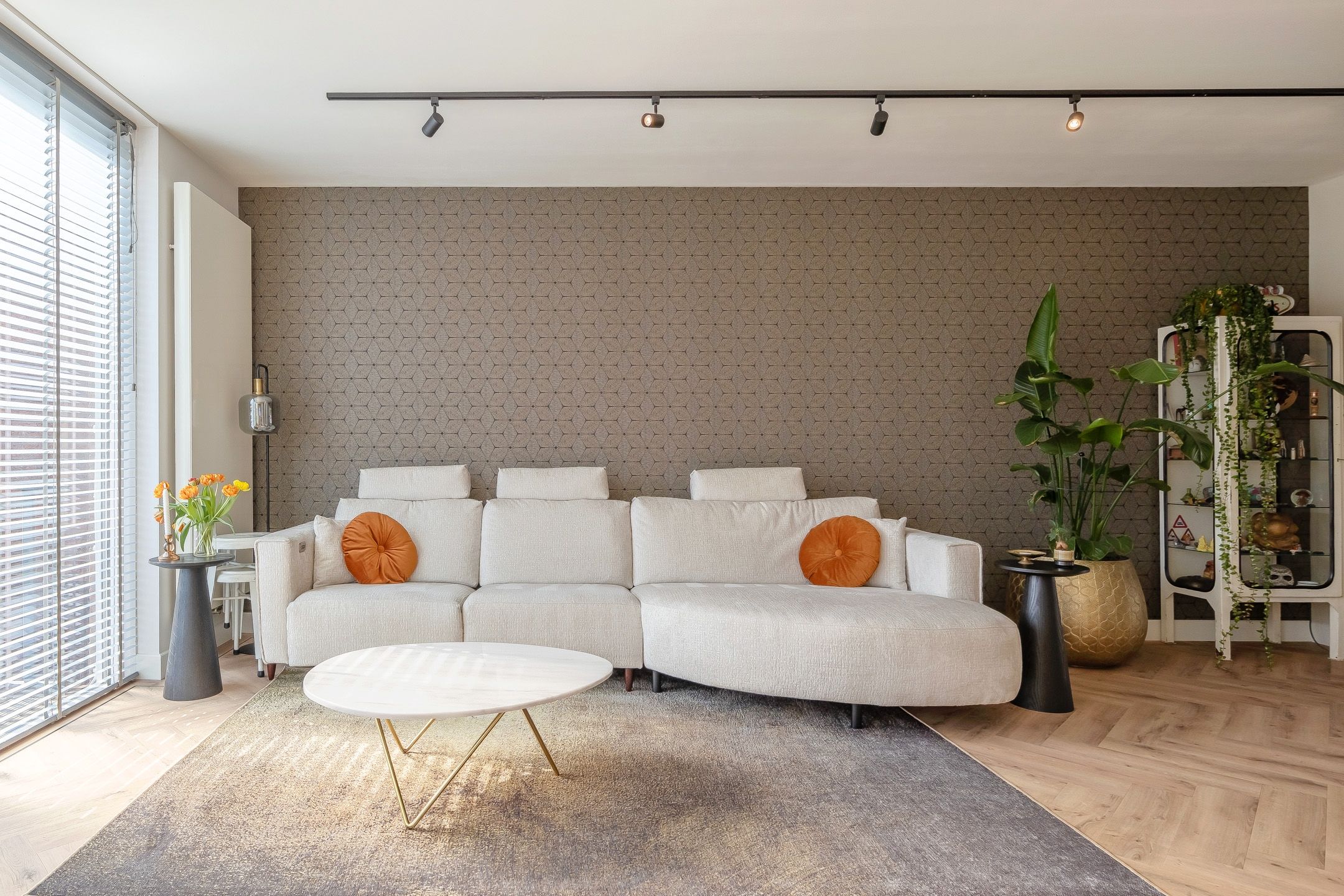 Photo 12 of Andromeda 134