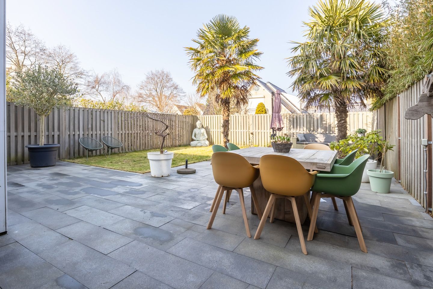 Photo 20 of Andromeda 134