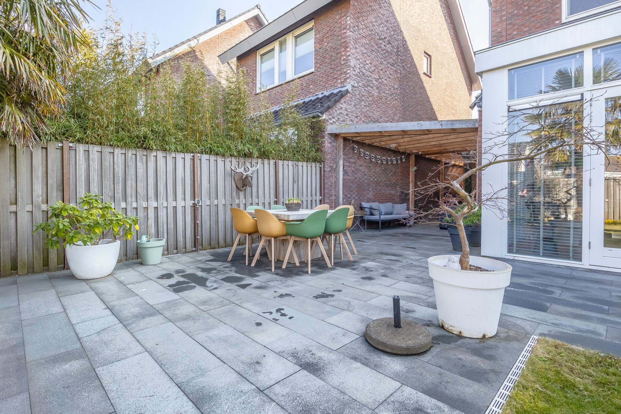 Photo 24 of Andromeda 134