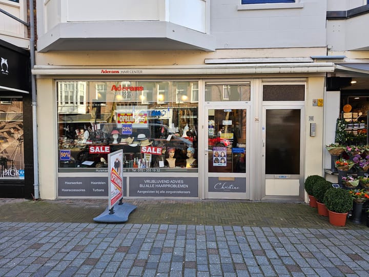 Frederik Hendriklaan 244