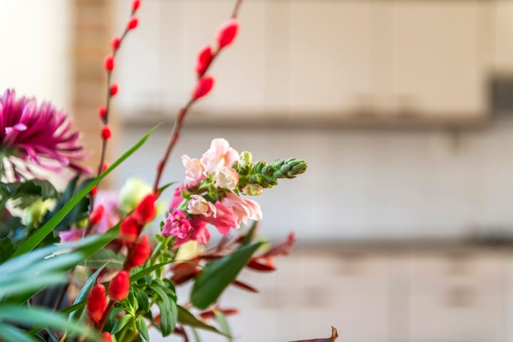 Foto 7 van Groenestraat 2