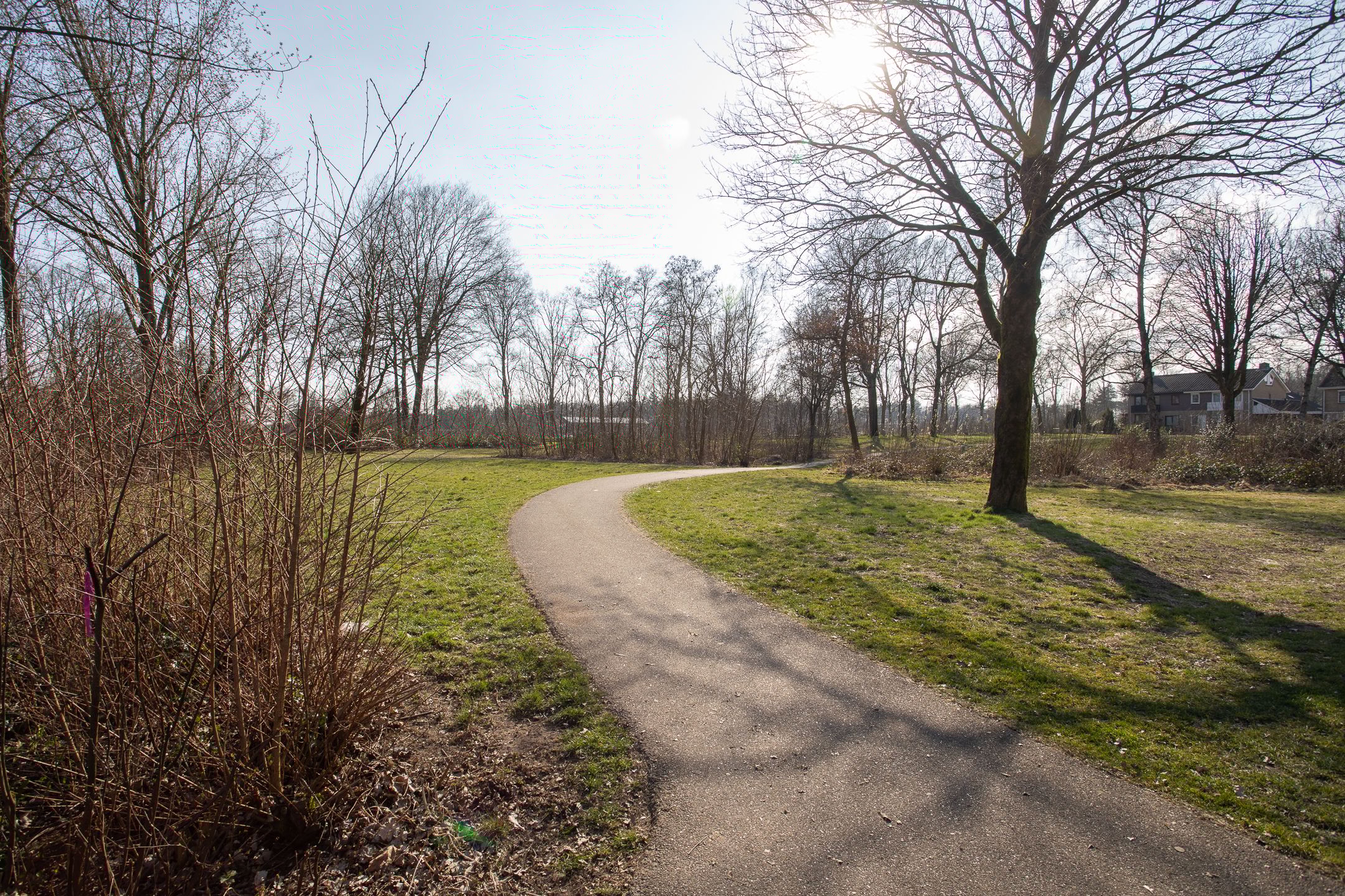 Foto 51 van Nicolaas Maesstraat 12