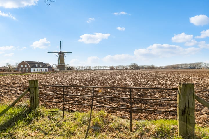 Foto 51 van Otselaan 4