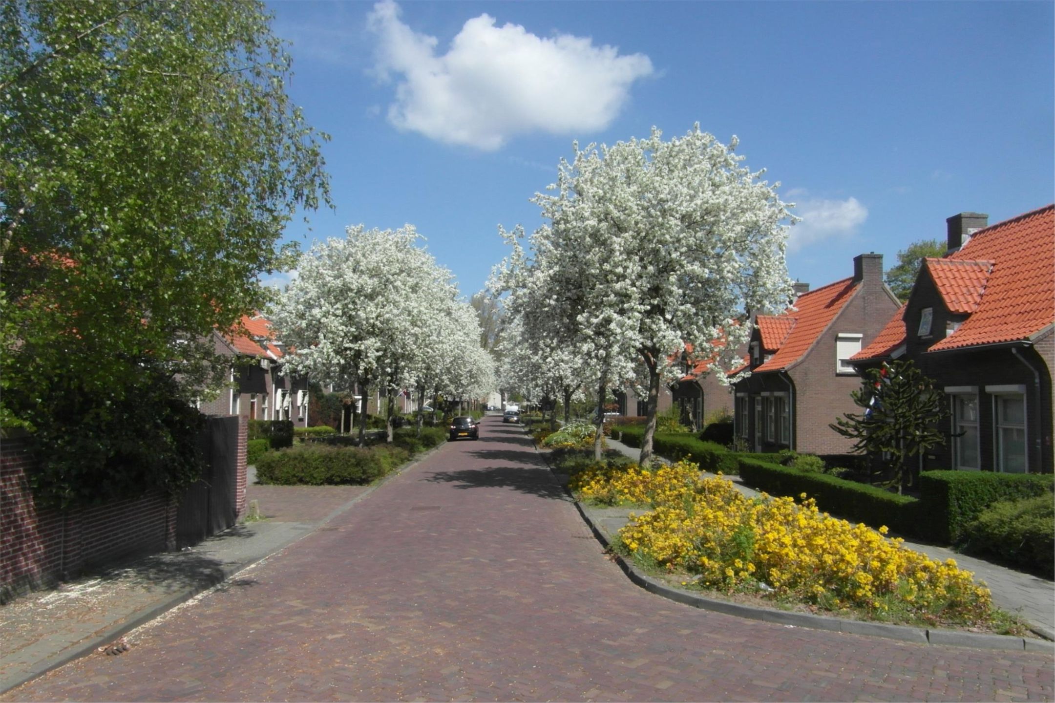 Foto 33 van Julianastraat 10