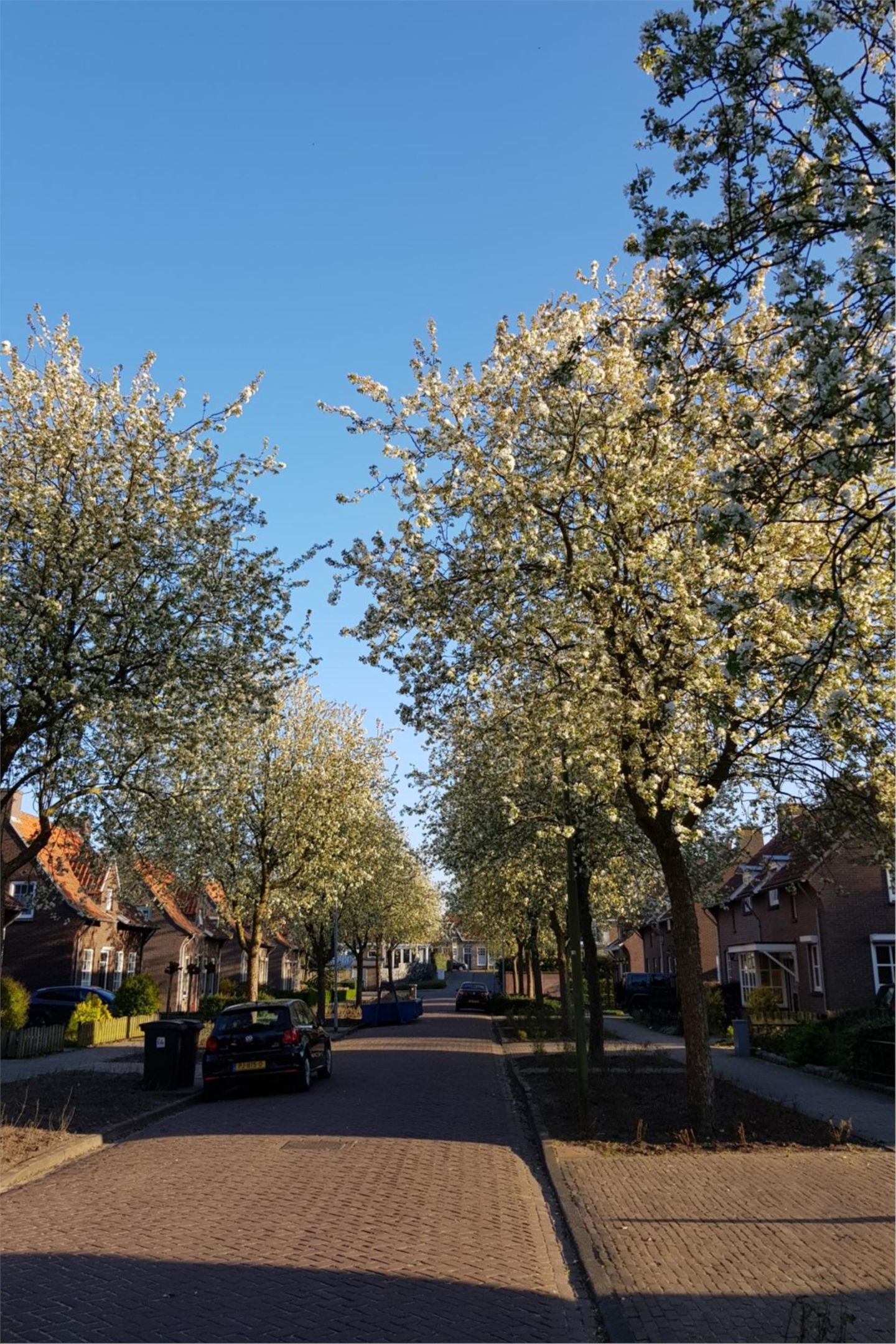 Foto 34 van Julianastraat 10